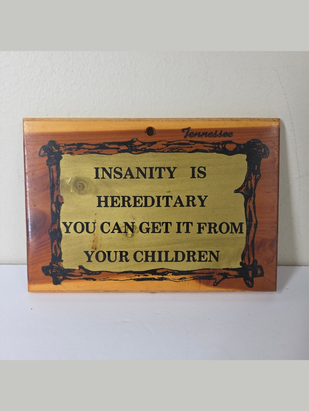 Vtg Tennessee Insanity Is Hereditary Wooden Wall Hanging Plaque Cottage Granny